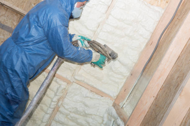 Best Insulation Replacement  in Wilder, KY